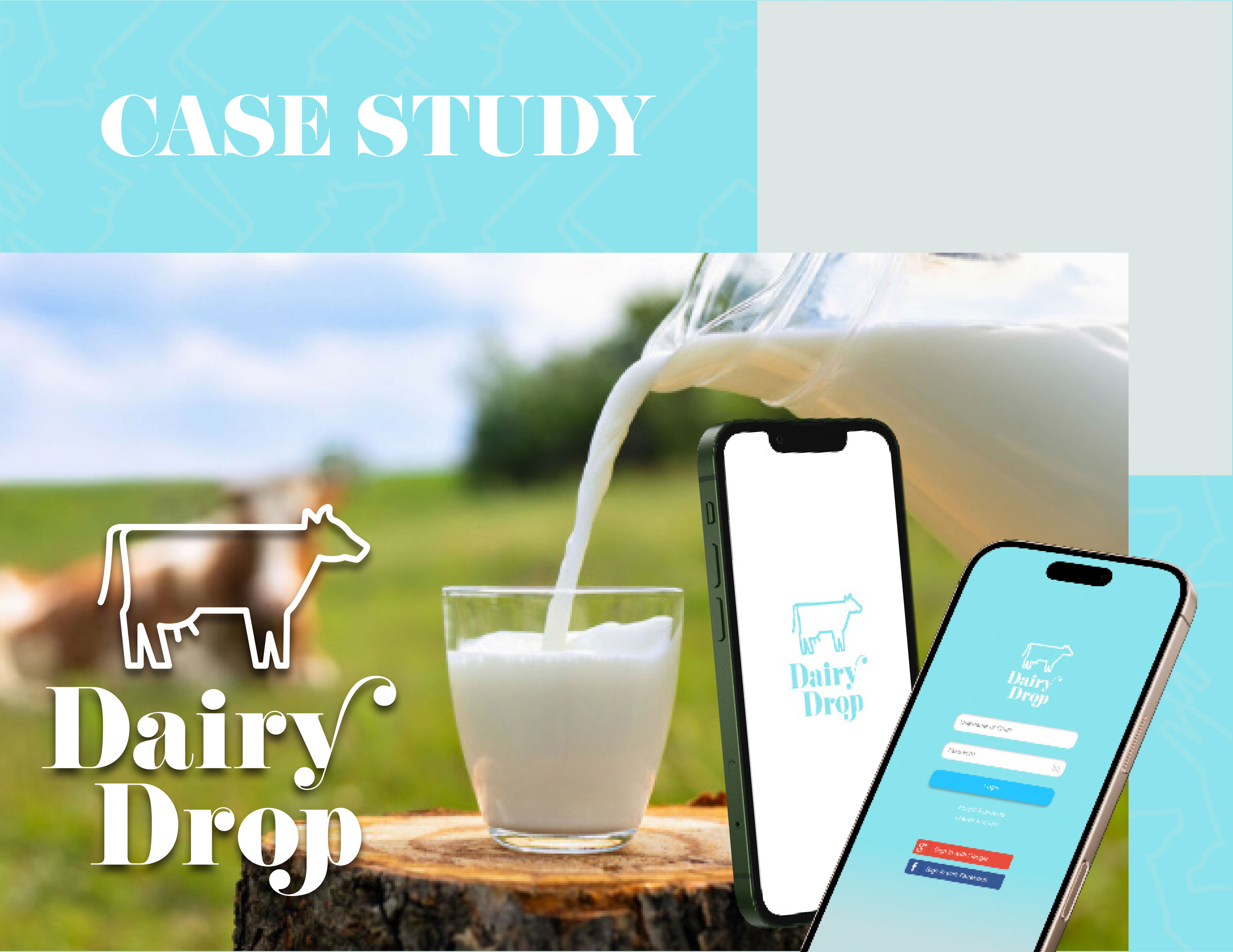 Dairy Drop Case Study